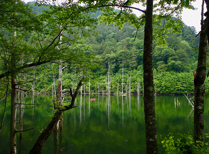 まるで物語の世界のような風景が広がる自然湖